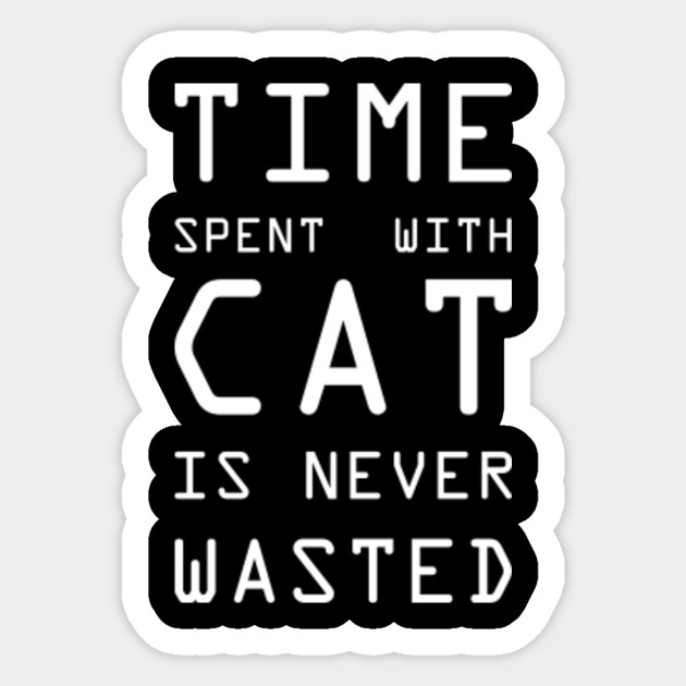 Time Spent With Cat Is Never Wasted